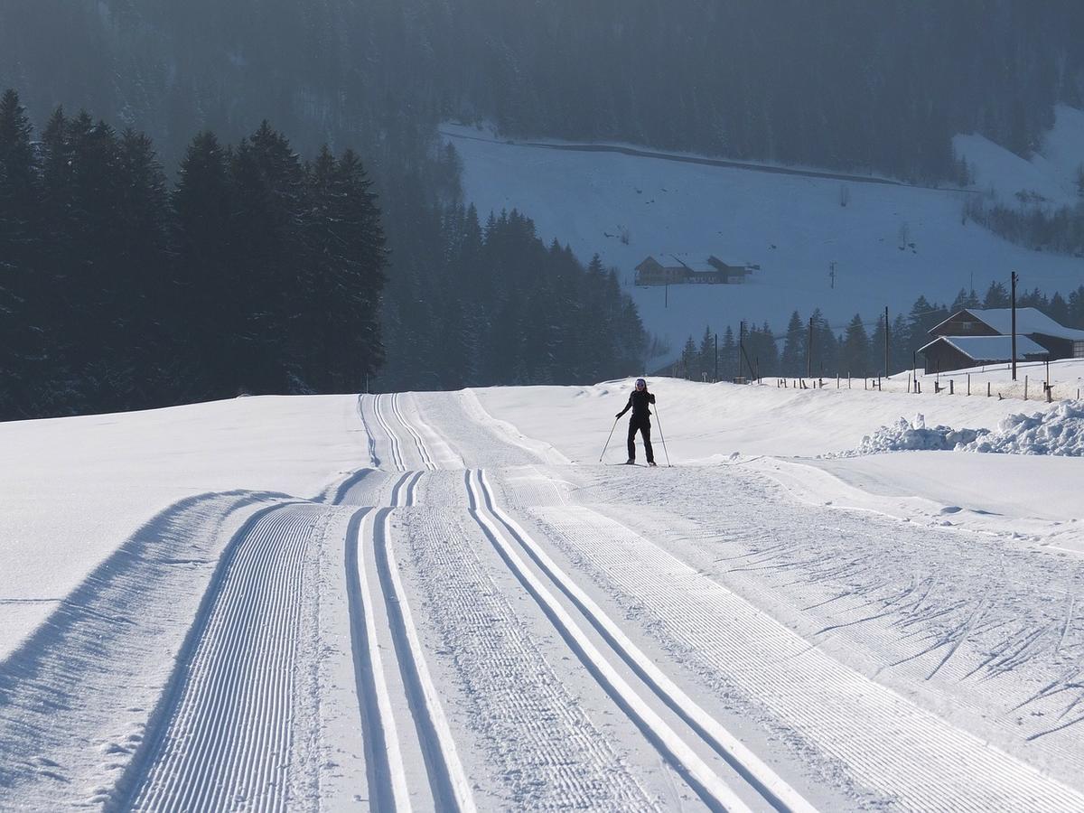 Landgasthof Pfeffermuehle Kotschach-Mauthen Pokój zdjęcie